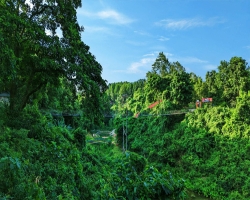 হবিগঞ্জে গহীন জঙ্গল থেকে যুবকের গলাকাটা লাশ উদ্ধার